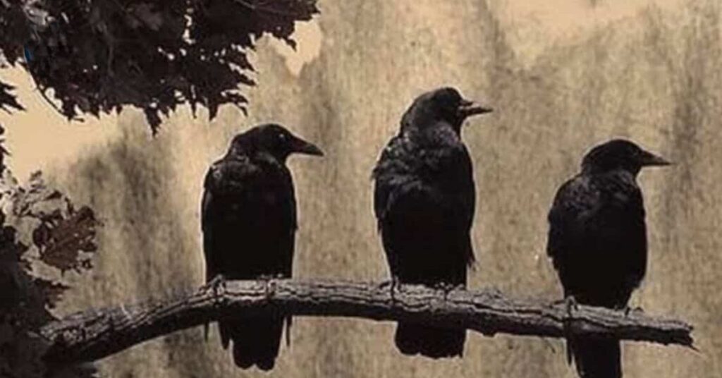 Spiritual Practices Involving Crows