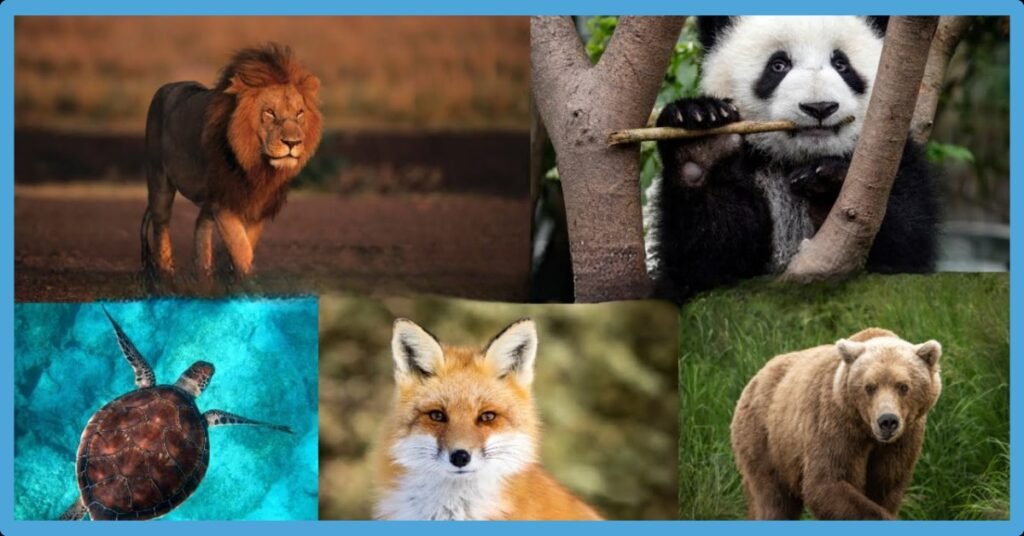 Spirit Animal By Birthday_ Astrology Of Western Zodiacs