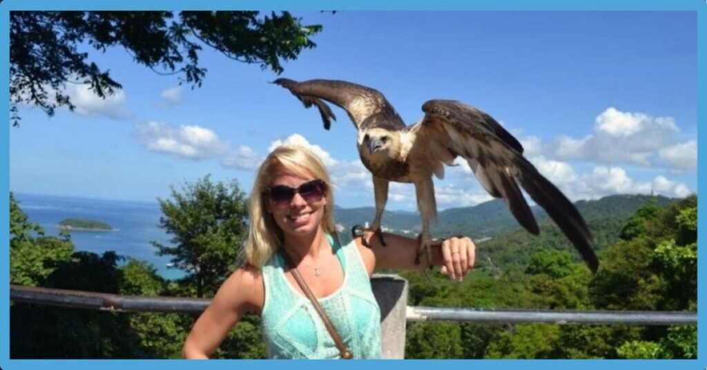 Bird On Your Shoulder Spiritual Meaning: Totem And Symbolism