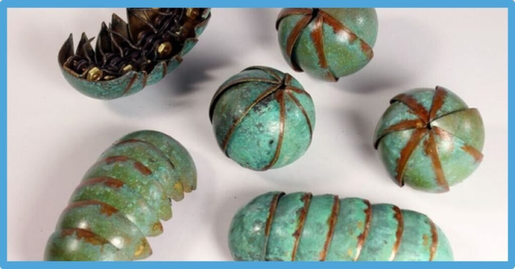 Roly Poly Spiritual Meaning: Its Totem, Power And Spirit