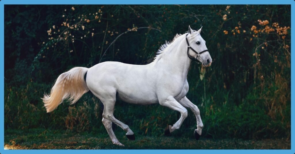 Horse Symbolism: Spirit And Totem Animal